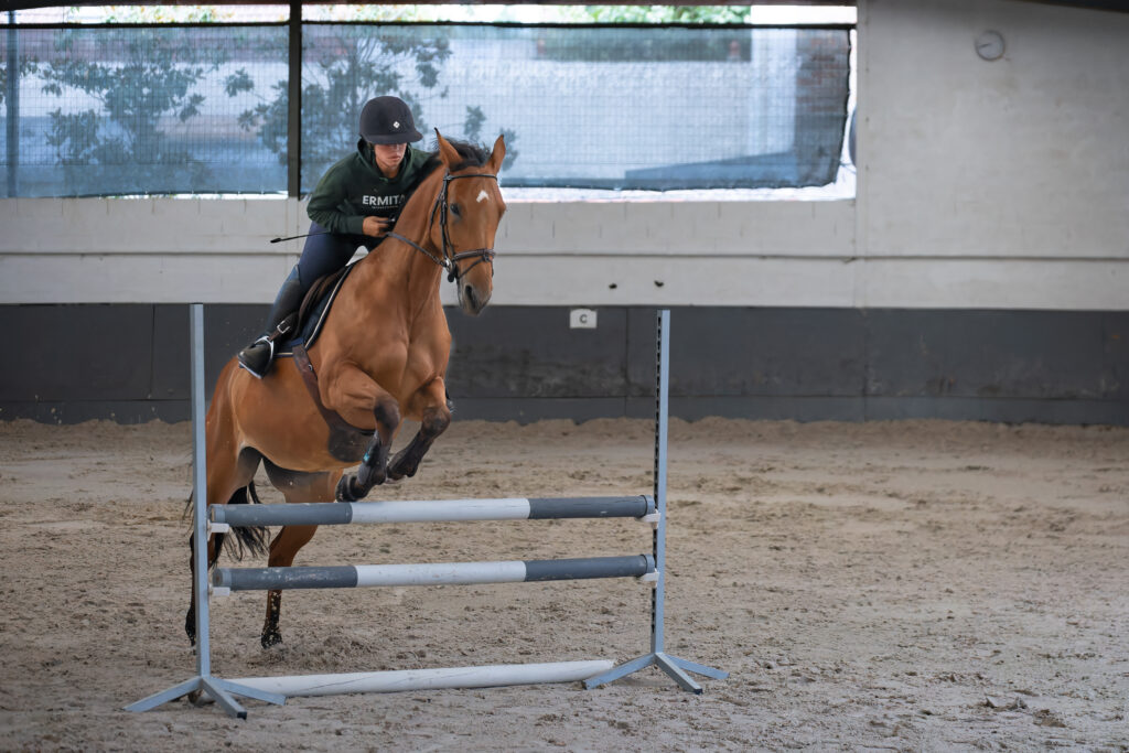 manege,propriétaire,Paris,Maisons-Laffitte