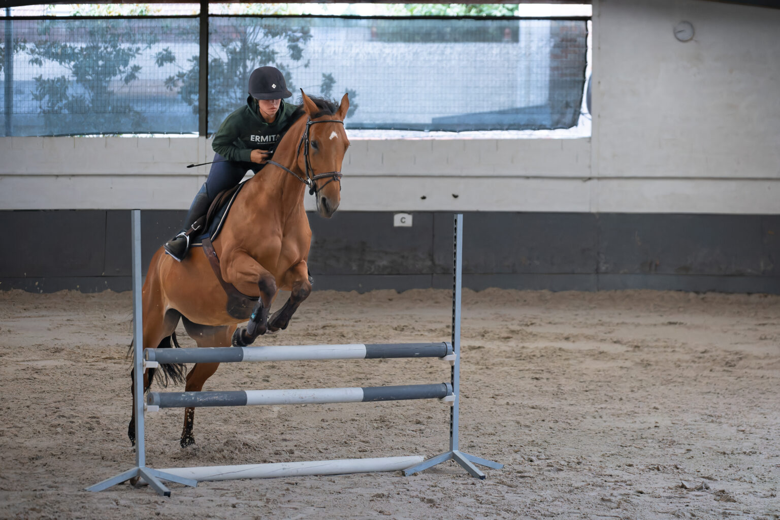 coach,entrainement,CSO,concours,sortie