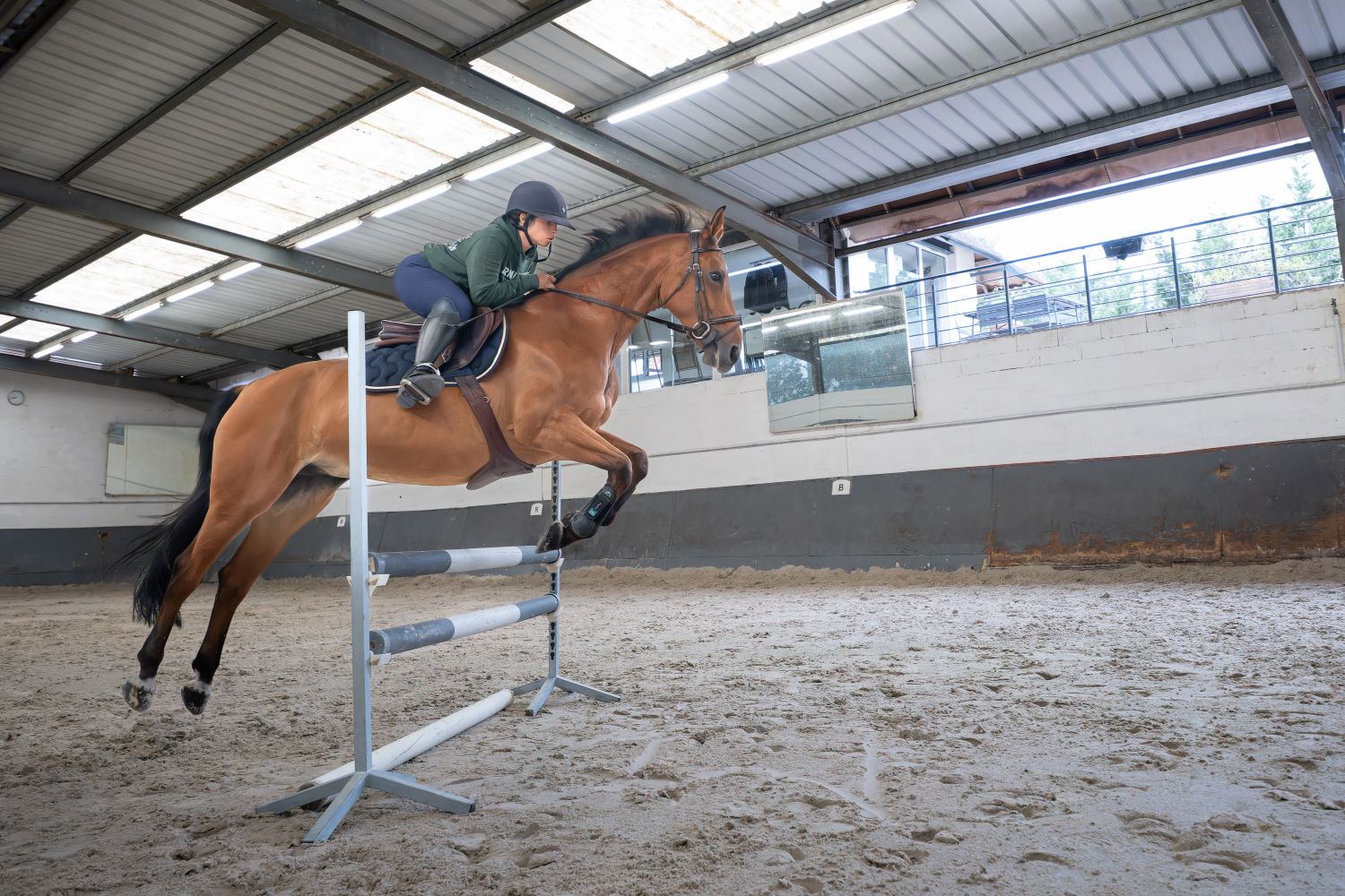 ride,indoor arena,paris,studying