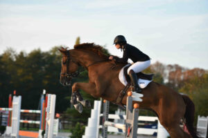 maisons-laffitte,65km foret,carrieres Jumping