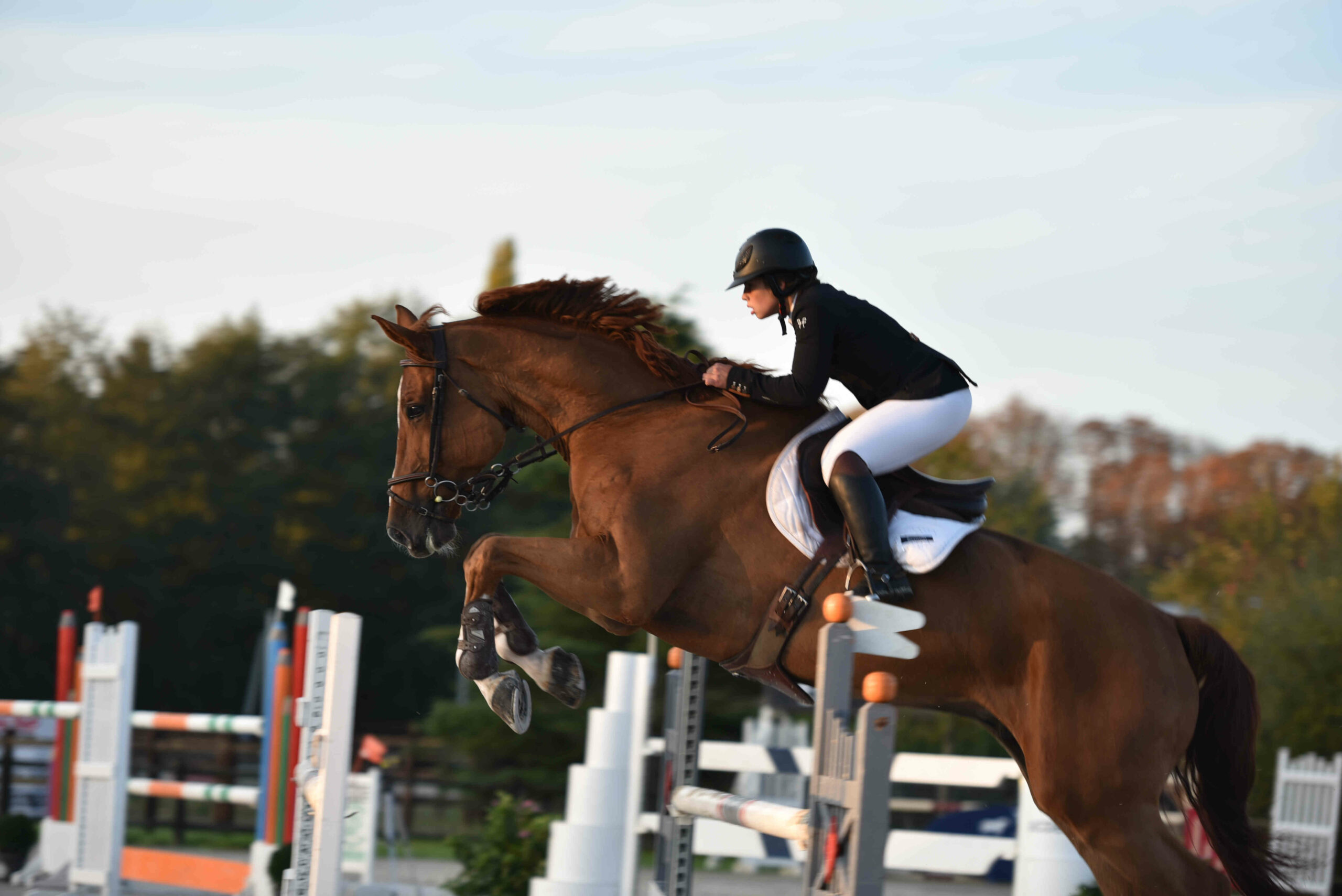 ride,indoor arena,paris,studying