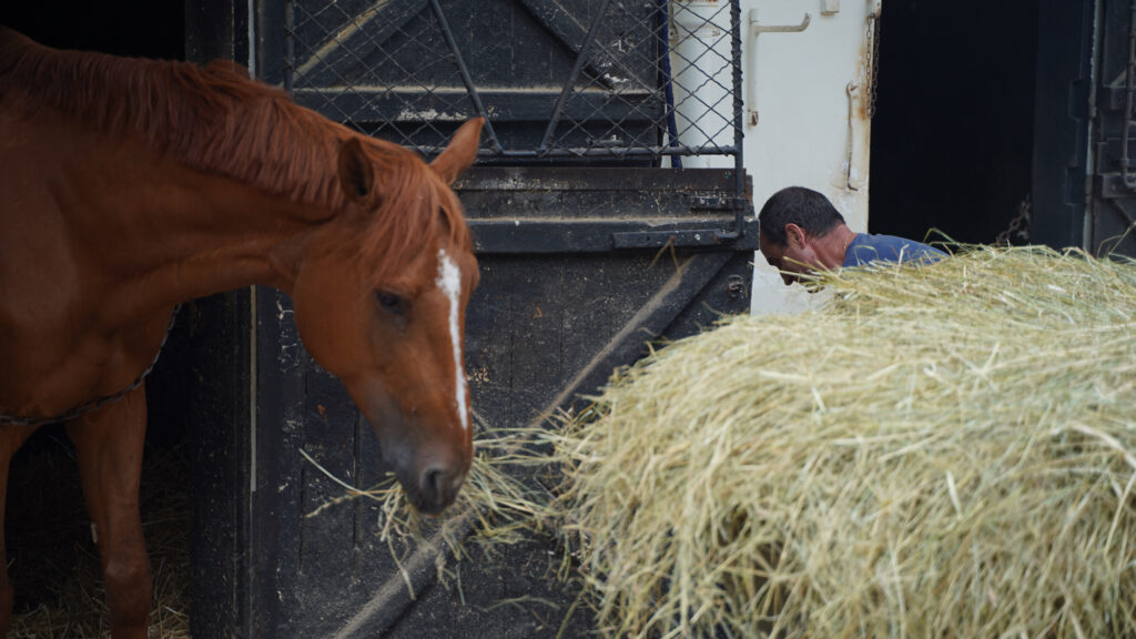 manege,propriétaire,Paris,Maisons-Laffitte