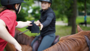 maisons-laffitte,65km foret,carrieres Jumping