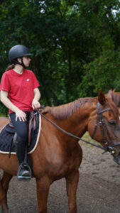 maisons-laffitte,65km foret,carrieres Jumping