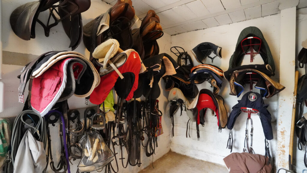 ride,indoor arena,paris,studying