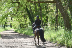 maisons-laffitte,65km foret,carrieres Jumping