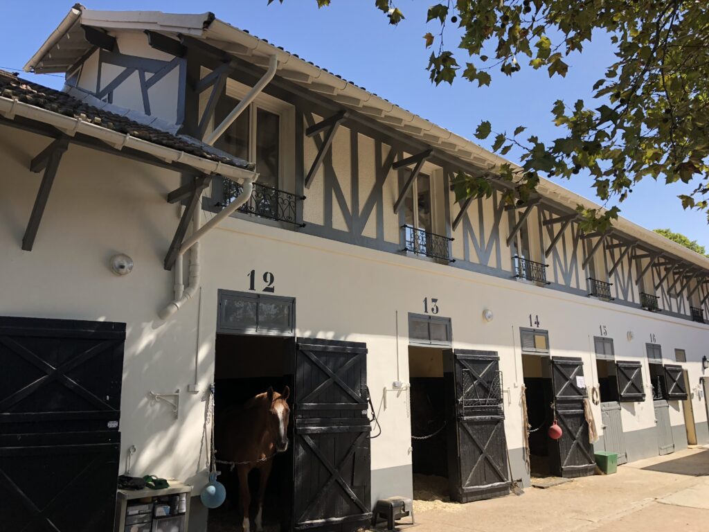 ride,indoor arena,paris,studying