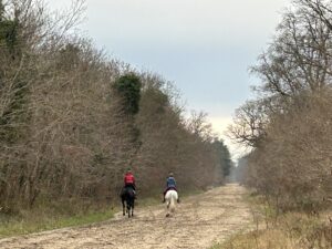 maisons-laffitte,65km foret,carrieres Jumping