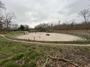 maisons-laffitte,65km foret,carrieres Jumping